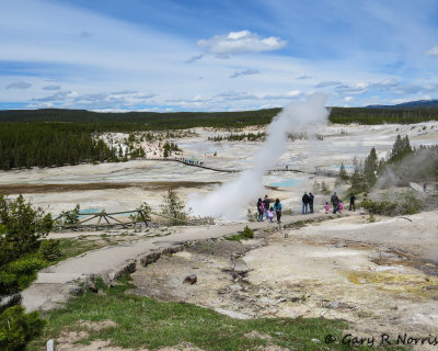 Norris Geyser Basin IMG_5236.jpg