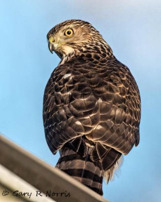 g10/45/685845/3/168668525.e3IDOI5R.jpg