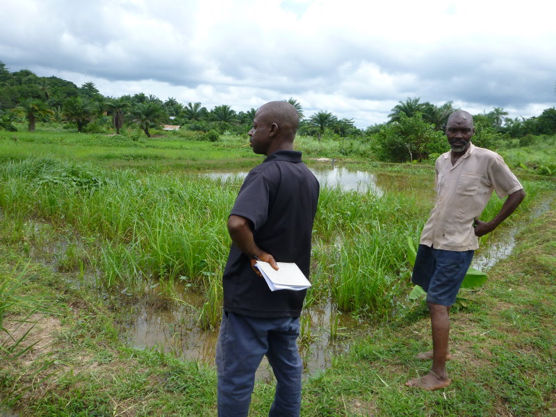 Another pond left weedy to discourage theft
