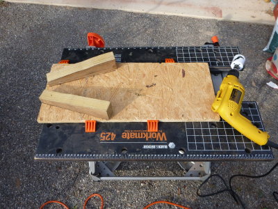 Frame to hold the fish steady while drilling for brains.