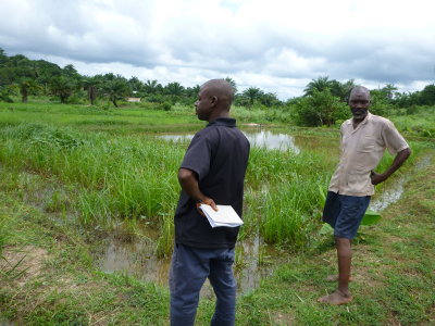 Another pond left weedy to discourage theft