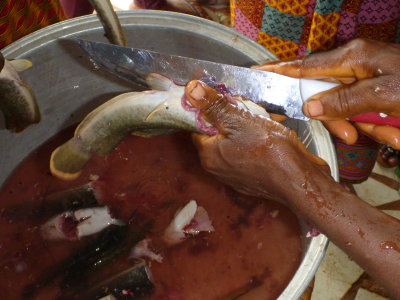 Cleaning catfish for canning