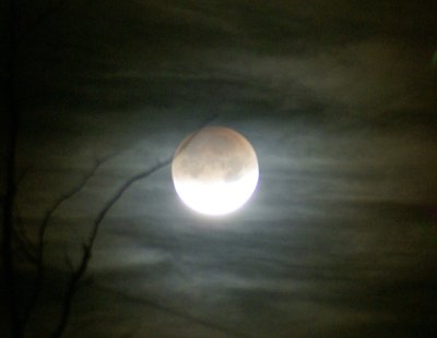 blood_moon_with_clouds_and_trees