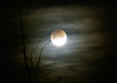 blood_moon_with_clouds_and_trees