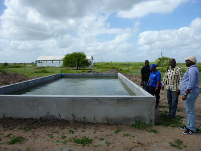 Concrete IIP pond 