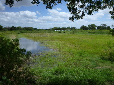 Mainly dry SDAE Chokwe pond.