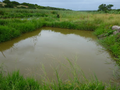 Second set of SDAE Chibuto ponds