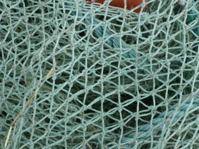 Net used to harvest undrainable SDAE pond - mesh 2.54 cm.