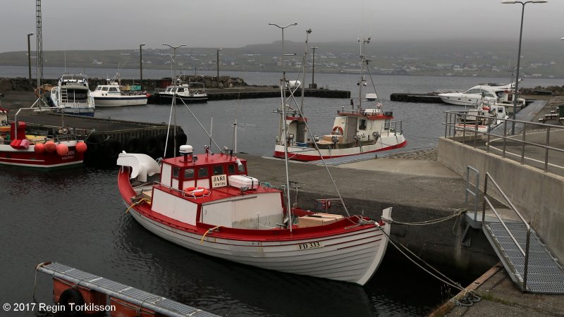 Jari FD 333
