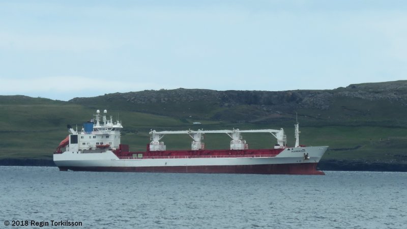 Harengus