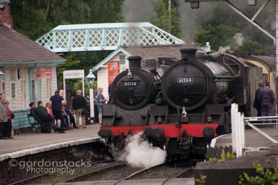 g10/45/807445/3/165616246.RPRVJJ5P.jpg