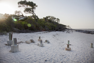 Hurricane Damage