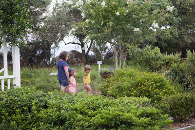 Garden Fairies