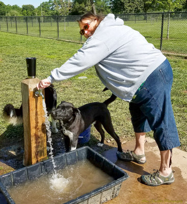 Donna and Norman at the watering hole, Hegan Dog Park