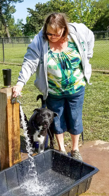 Donna and Norman at the watering hole, Hegan Dog Park