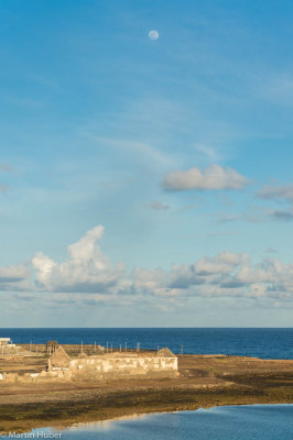 Arr1620.jpg