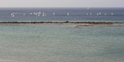 Arrecife 2015