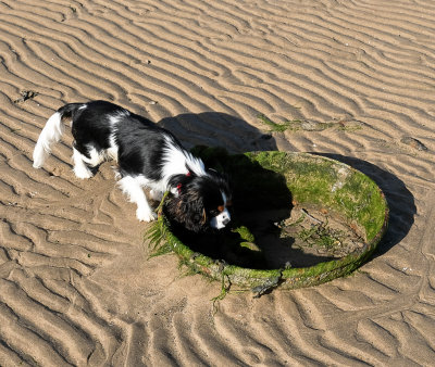 Exploring...