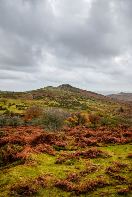 Dartmoor - Sharp Tor