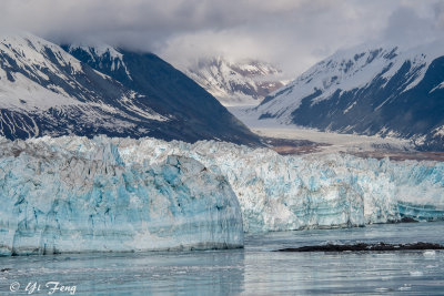 whitter-glacier_-_skagway_wildlife