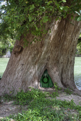 Gnome home
