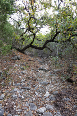_MG_5747.jpg