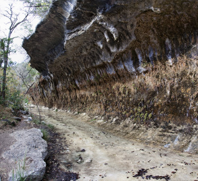 Untitled_Panorama4.jpg