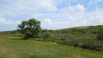 Terschelling june 2018