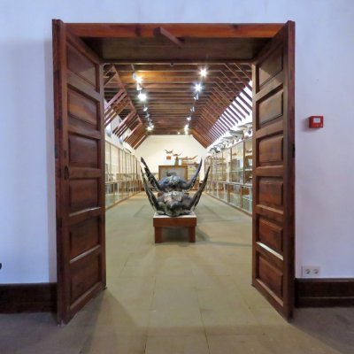 MUSEO INSULAR DE LA PALMA