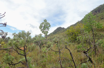 Serra do Cip