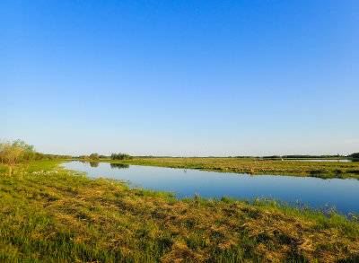 Tulagino marshes