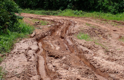 Muddy road to Flor de Caf
