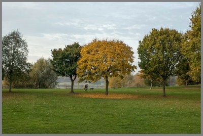 Autumnal stroll