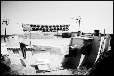 Fish preservation by drying