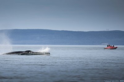 Tadoussac