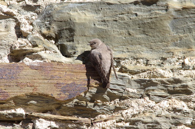 CRAG MARTIN . ALCANTARA . SPAIN . 1 . 5 . 2017
