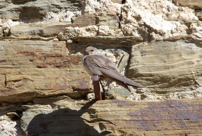 CRAG MARTIN , ALCANTARA , SPAIN , 1 , 5 , 2017