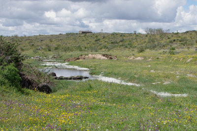 BEE EATER SITE . Nr ERMITA DE SAN MARCOS . SPAIN . 30 . 4 . 2018