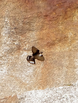 CRAG MARTIN , ALCANTARA QUARRY . SPAIN . 29 . 4 . 2018