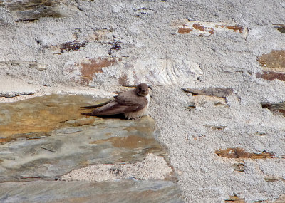 CRAG MARTIN . ALCANTARA . SPAIN . 2 . 5 . 2018