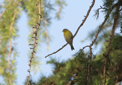 SERIN . BARAJAS SQUARE . MADRID . SPAIN . 26 . 4 . 2018