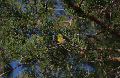 SERIN . THE PARADOR DE GREDOS HOTEL . SPAIN . 27 . 4 . 2018
