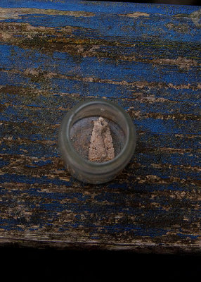 PALE MOTTLED WILLOW ( Paradrina clavipalpis ) . EXMOUTH . DEVON . 16 . 7 . 2018