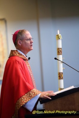 OLGCC_Confirmation_23May2017_0044 [1024x768 y] [800 x 600 Pb].JPG