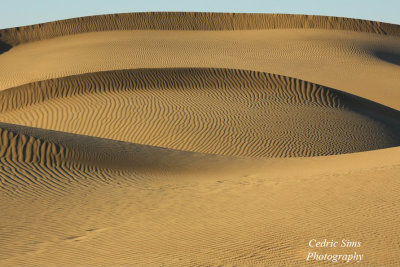  Mesquite Dunes