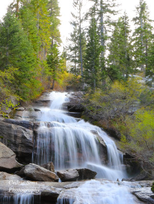  Lone Pine Creek Falls