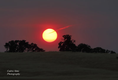  Sunset Folsom, Ca.
