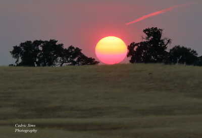  Sunset Folsom, Ca.
