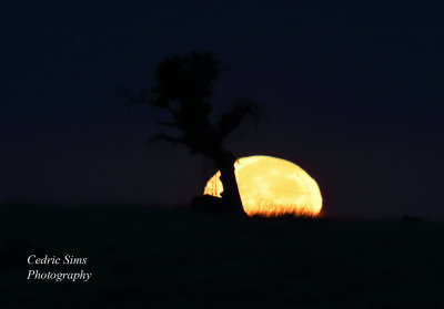 Moonset