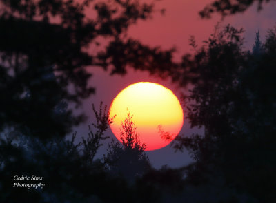 Captured this  smokey shot of the sunrise. The smoke was from the Camp Fire in Paradise  California 